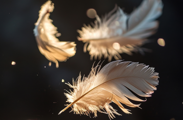 Plumas